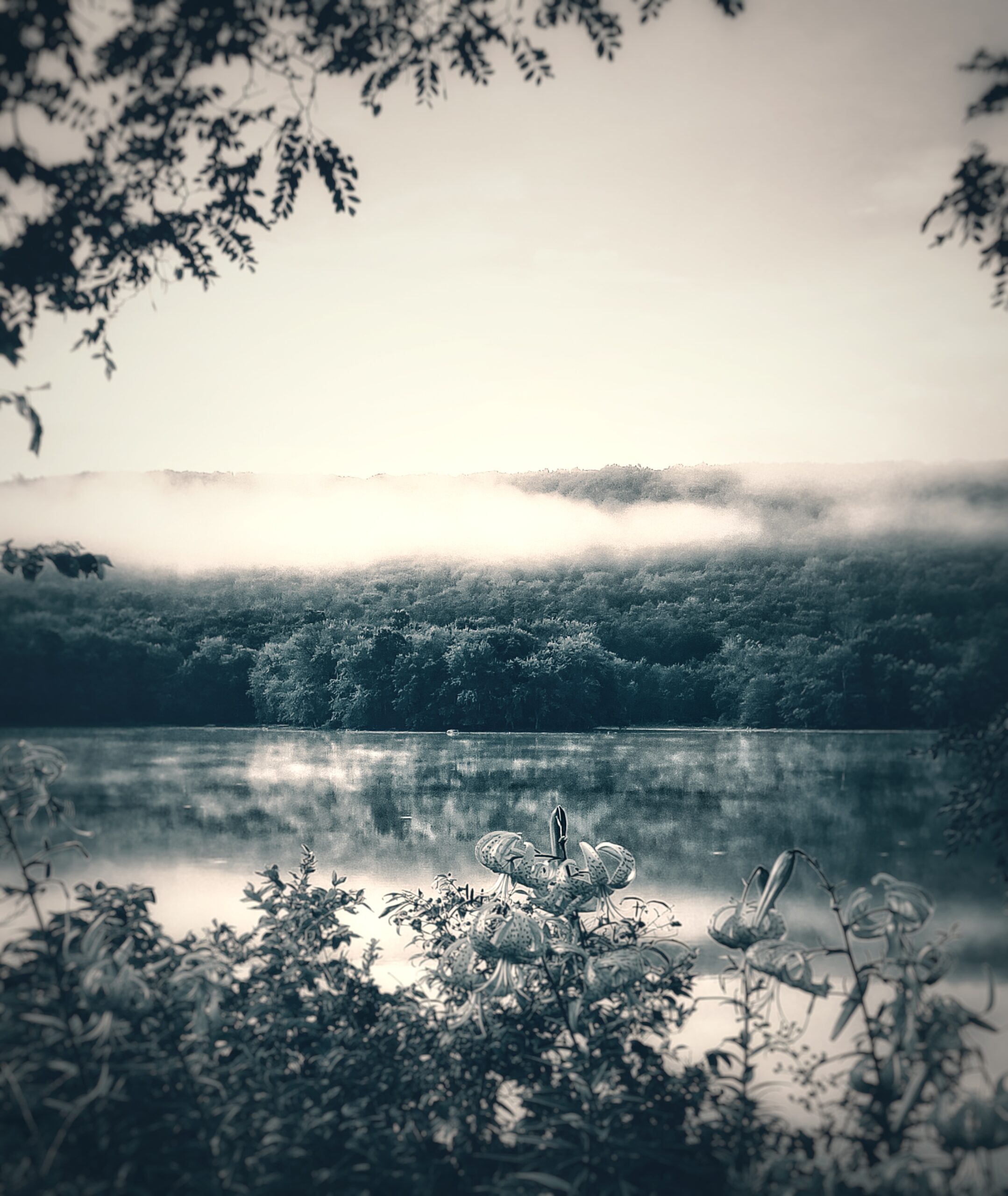 The Mists of Sodom Reservoir